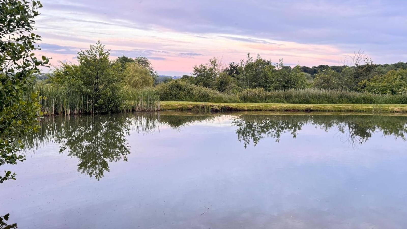 Bransford Farm Fishery & B & B Dış mekan fotoğraf
