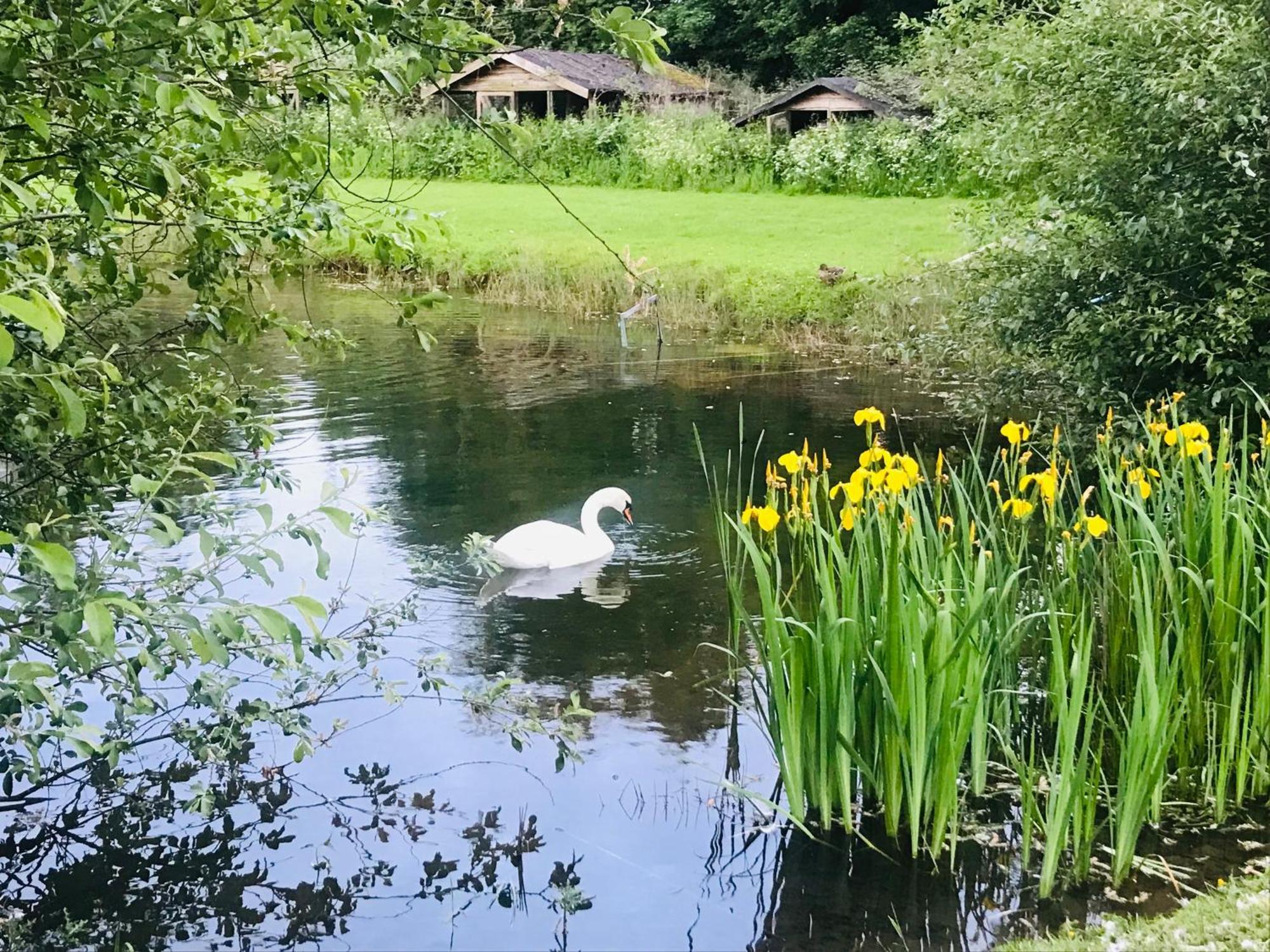Bransford Farm Fishery & B & B Dış mekan fotoğraf
