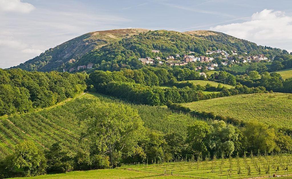 Bransford Farm Fishery & B & B Dış mekan fotoğraf